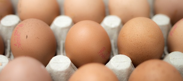 eggs-551292_1920